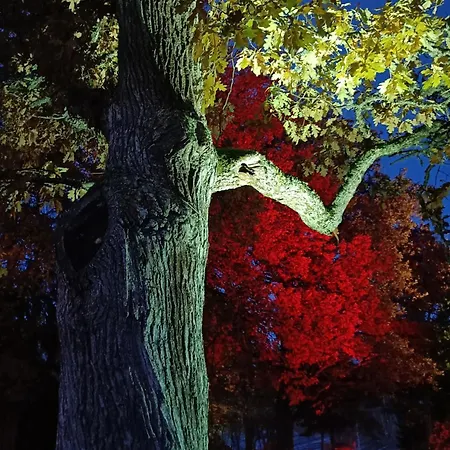 Panzió Joensuun Tilan Paeaerakennus 3*