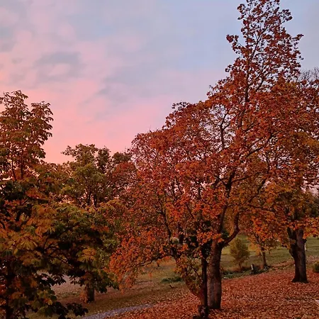 Joensuun Tilan Paeaerakennus 3* Söderkulla