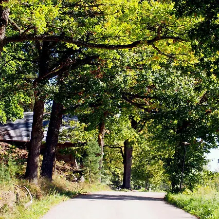 Panzió Joensuun Tilan Paeaerakennus