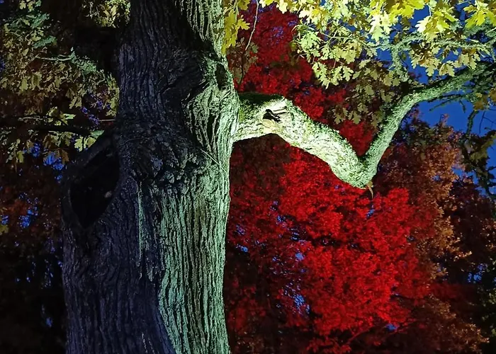 Bed & Breakfast Joensuun Tilan Paeaerakennus 3*