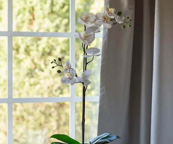 Joensuun Tilan Paeaerakennus Bed & Breakfast Soderkulla (Helsinki)